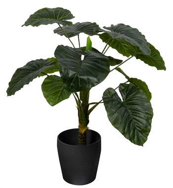 Konstgjord Alocasia Odora-växt - Höjd 90 cm - 1 stjälk med gröna blad - Konstgjord golvväxt