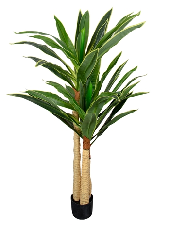 Konstgjord Dracena växt - Höjd 170 cm - Långa vackra blad - Konstgjord golvväxt