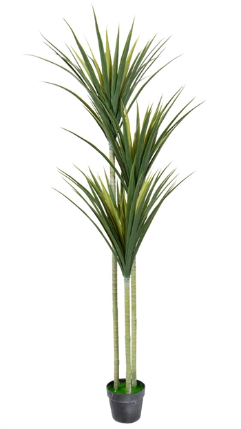 Konstgjord palm med 3 stammar, 160 cm hög - Dracaena Marginata palm