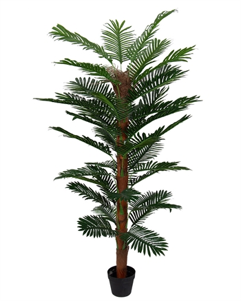 Tropisk palm - 180 cm hög - Konstgjord palm med mosspinne i svart kruka