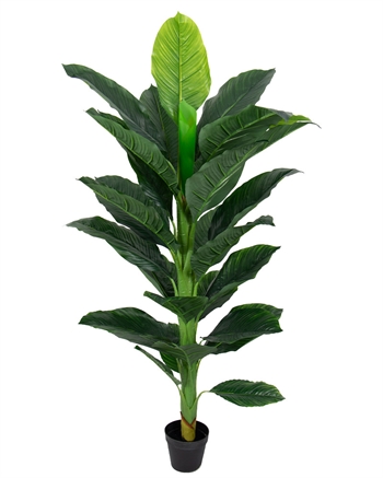 Konstgjord växt 160 cm hög - Stor och vacker Spathiphyllum med många fylliga blad