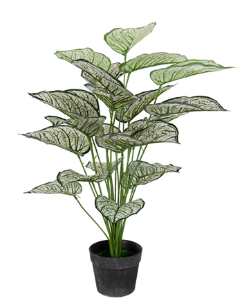 Konstgjord växt 80 cm - Vacker Calathea med vita och gröna blad