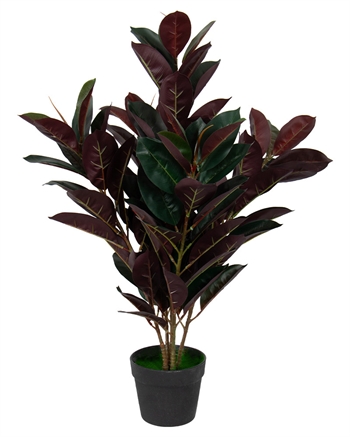 Konstgjord gummiväxt 80 cm hög - Ficus elastica med rödaktiga blad